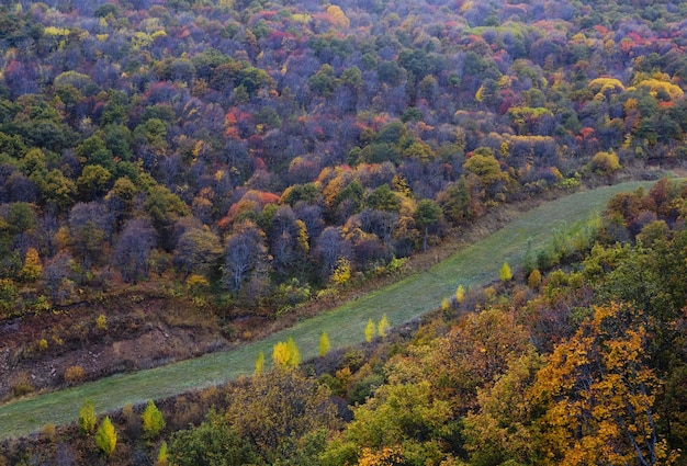 Landschaft einer Straße, umgeben von Bäumen und Sträuchern im Herbst in Armenien