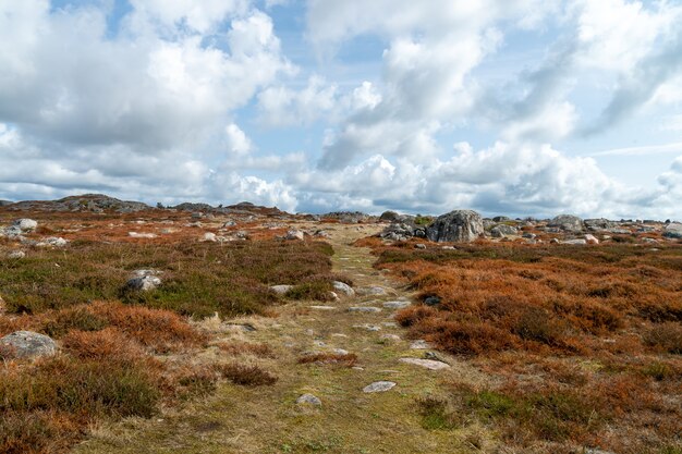 Landschaft eines Feldes bedeckt im Gras und Felsen unter einem bewölkten Himmel während des Tages