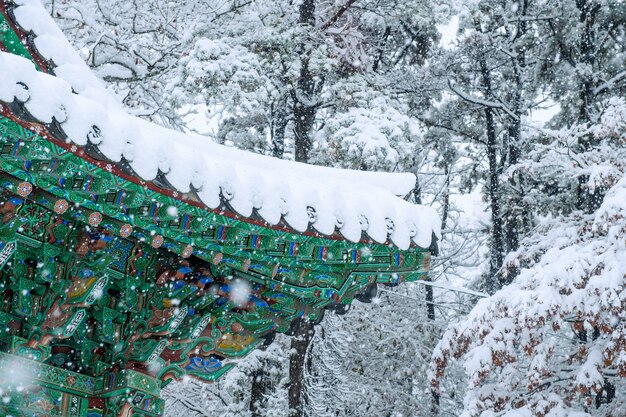 Landschaft im Winter mit Dach von Gyeongbokgung und fallendem Schnee in Seoul, Südkorea