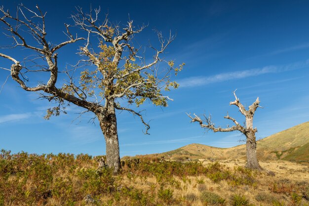 Landschaft in Puerto de Honduras, Extremadura, Spanien