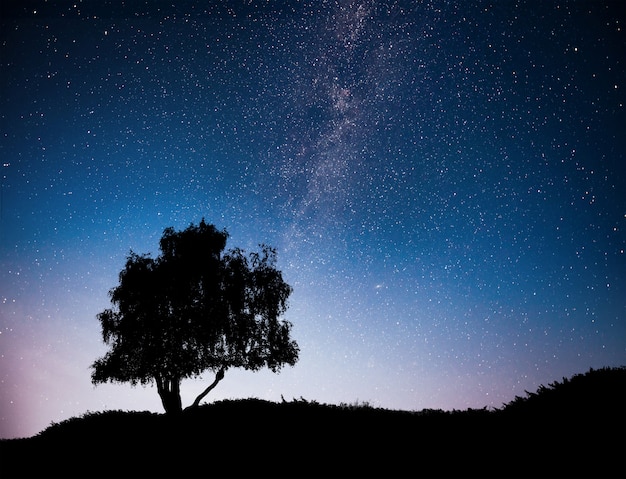 Landschaft mit Nachthimmelhimmel und Schattenbild des Baumes auf dem Hügel. Milchstraße mit einsamem Baum, Sternschnuppen.