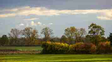 Kostenloses Foto landschaft von bäumen auf der wiese vor einem bewölkten himmel