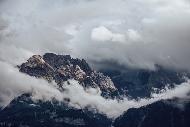 Landschaft von Felsen bedeckt in Wäldern und Nebel unter einem bewölkten Himmel