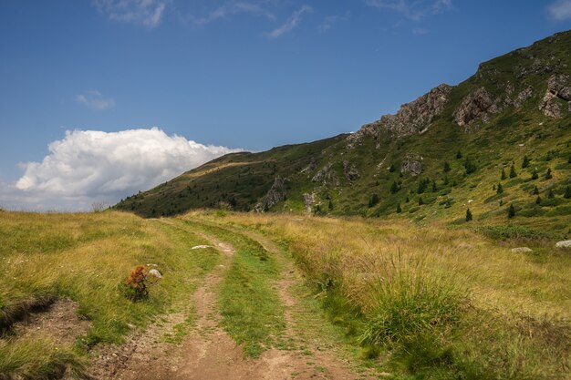 Landschaft von Hügeln bedeckt im Grünen unter einem blauen Himmel und Sonnenlicht während des Tages