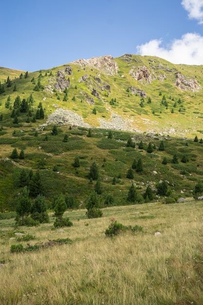 Landschaft von Hügeln bedeckt mit Gras und Bäumen unter einem bewölkten Himmel und Sonnenlicht während des Tages