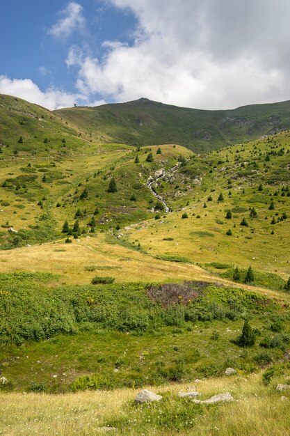 Landschaft von Hügeln bedeckt mit Gras und Bäumen unter einem bewölkten Himmel und Sonnenlicht während des Tages