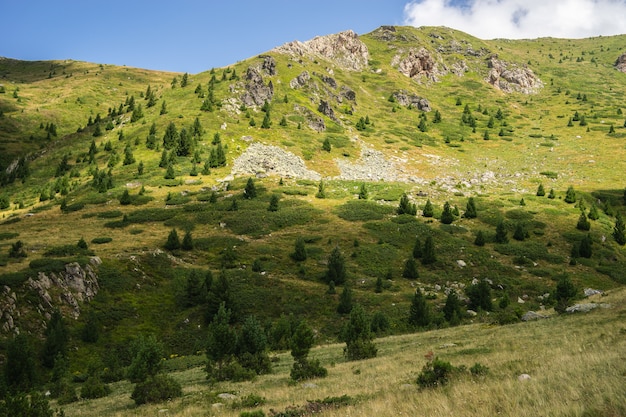 Landschaft von Hügeln bedeckt mit Gras und Bäumen unter einem bewölkten Himmel und Sonnenlicht während des Tages