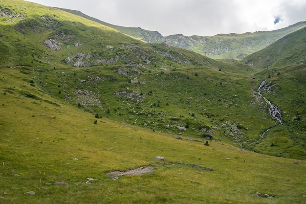 Kostenloses Foto landschaft von hügeln bedeckt mit gras und bäumen unter einem bewölkten himmel