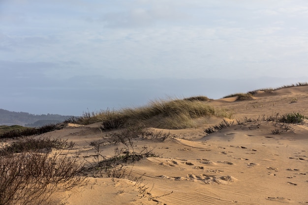 Landschaft von Hügeln bedeckt mit Gras und Sand unter dem Sonnenlicht und einem bewölkten Himmel