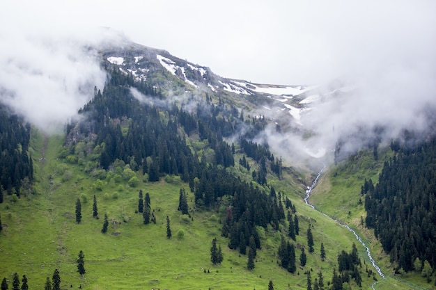 Landschaft von Hügeln bedeckt mit Nebel und Wäldern, umgeben vom Schnee unter einem bewölkten Himmel