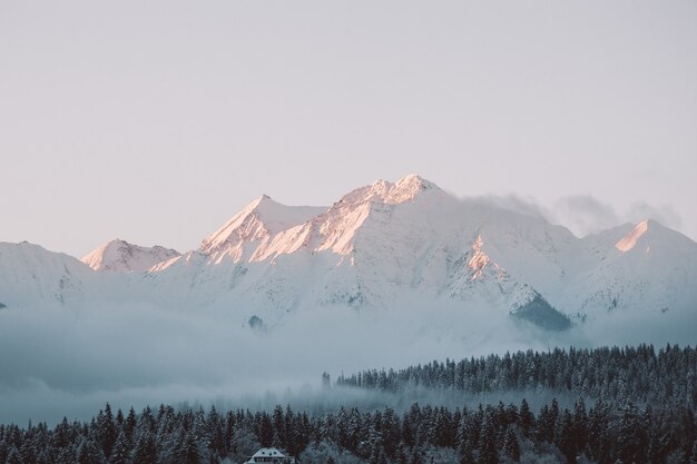 Landschaft von Hügeln und Wäldern im Schnee unter dem Sonnenlicht und einem bewölkten Himmel bedeckt