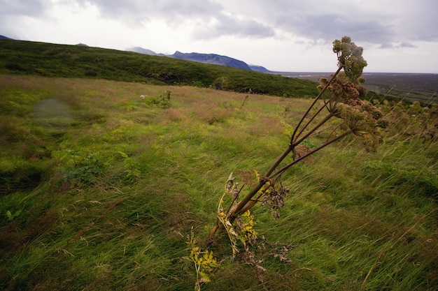 Kostenloses Foto landschaft