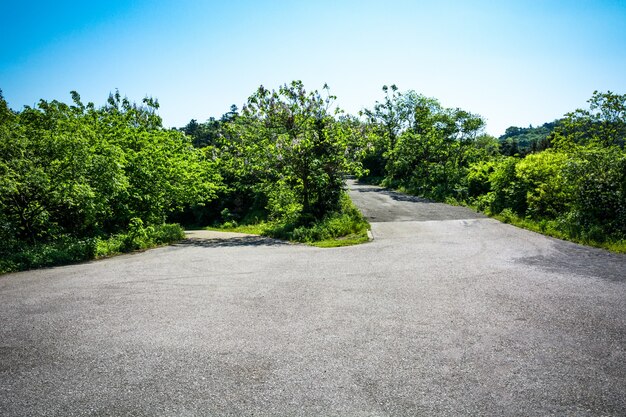 Landschaftliche Bergstraße