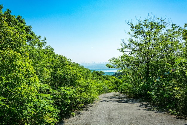 Landschaftliche Bergstraße