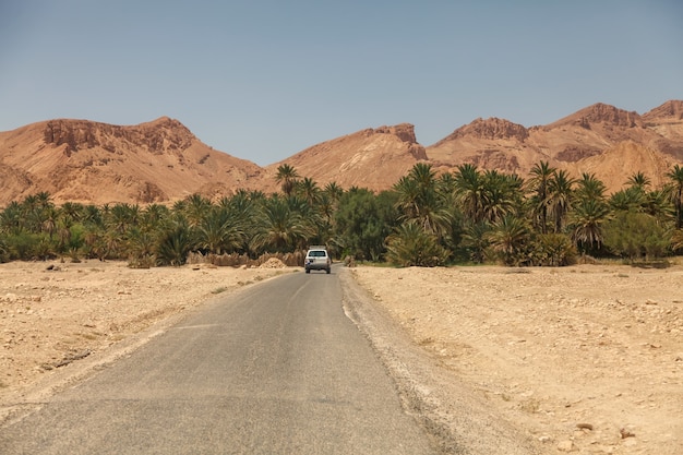 Landschafts-chebika-oase in der sahara-wüste. auto fährt in palmen ein. bergoase mit malerischer aussicht in nordafrika. das hotel liegt am fuß des jebel el negueba. atlasgebirge am sonnigen nachmittag. tozeur, tunesien