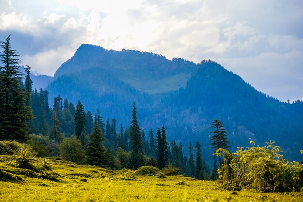 Landschaftsansicht der Felder und der Manali-Berge in Indien