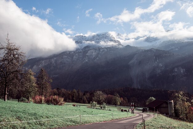 Landschaftsaufnahme der Felder voller Bäume mit Bergen in der Schweiz