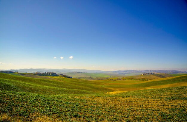 Landschaftsaufnahme eines hellgrünen Feldes und eines klaren blauen Himmels