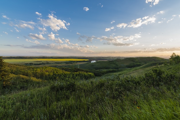 Landschaftsaufnahme von Grasfeldern und Wiesen unter einem klaren blauen und rosa Himmel mit weißen Wolken