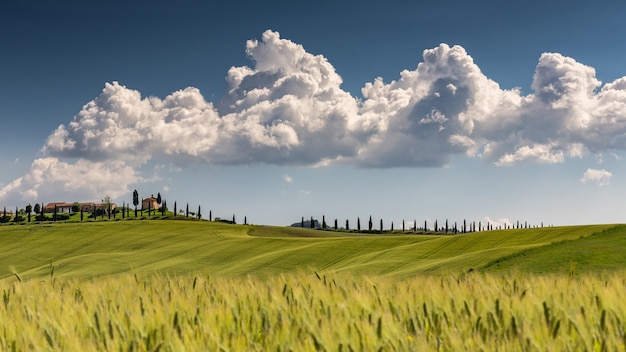 Kostenloses Foto landschaftsaufnahme von val d'orcia toskana italien mit einem bewölkten sonnigen blauen himmel