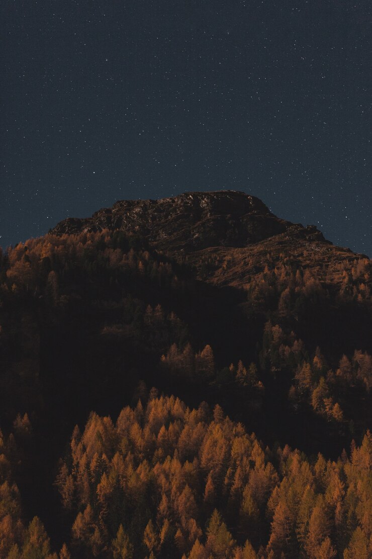 Kostenlose Foto landschaftsberg mit bäumen
