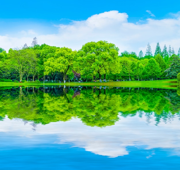 Landschaftsdekoration Natur Reflexion Berge Rasen