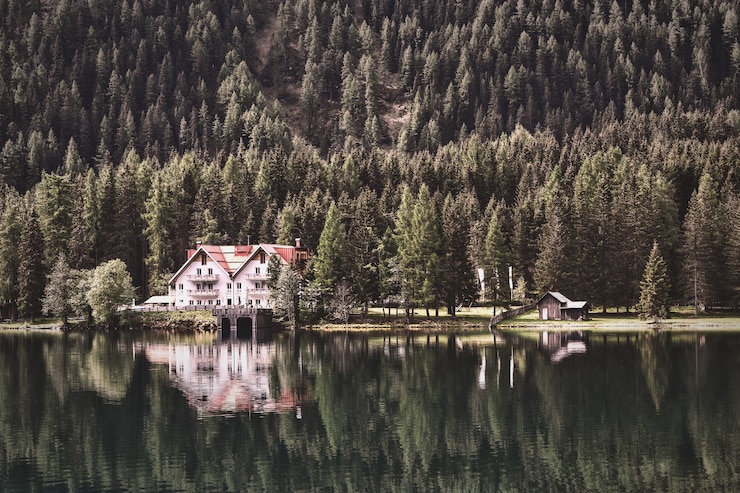 Kostenlose Foto landschaftsfotografie der hütte nahe wald