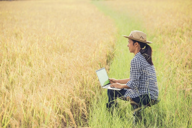 Landwirt auf dem Reisgebiet mit Laptop