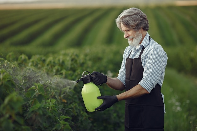 Landwirt besprüht Gemüse im Garten mit Herbiziden. Mann in einer schwarzen Schürze.