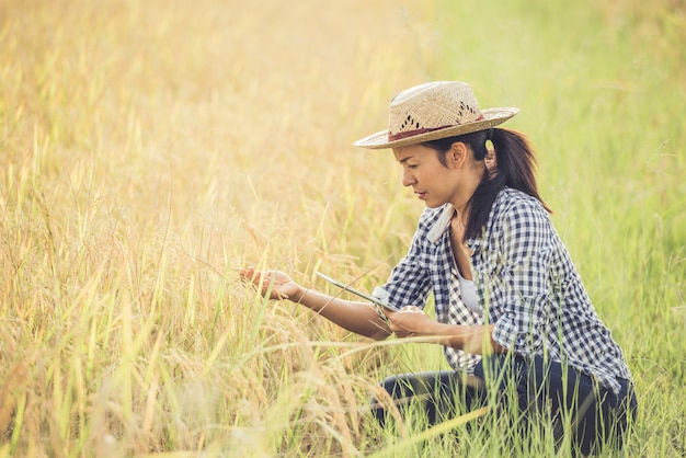 Landwirt, der auf einem Reisgebiet mit einer Tablette steht.