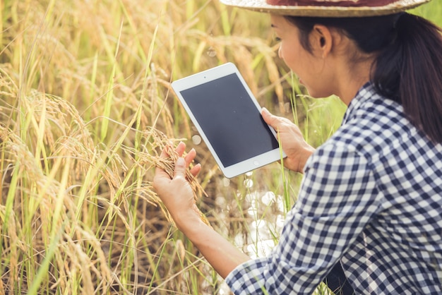 Landwirt, der auf einem Reisgebiet mit einer Tablette steht.