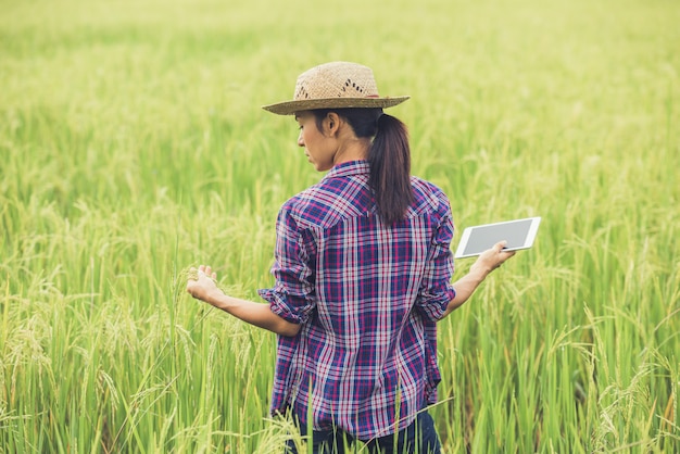 Landwirt, der auf einem Reisgebiet mit einer Tablette steht.