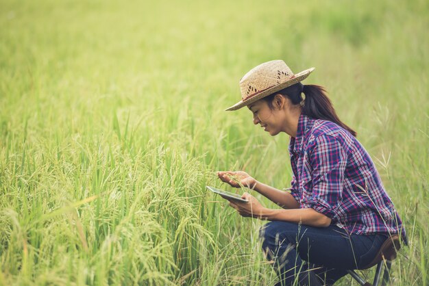 Landwirt, der auf einem Reisgebiet mit einer Tablette steht.