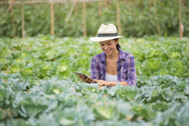 Landwirte arbeiten in Gemüsefarm. Gemüsepflanzen mit digitaler Tablette prüfen