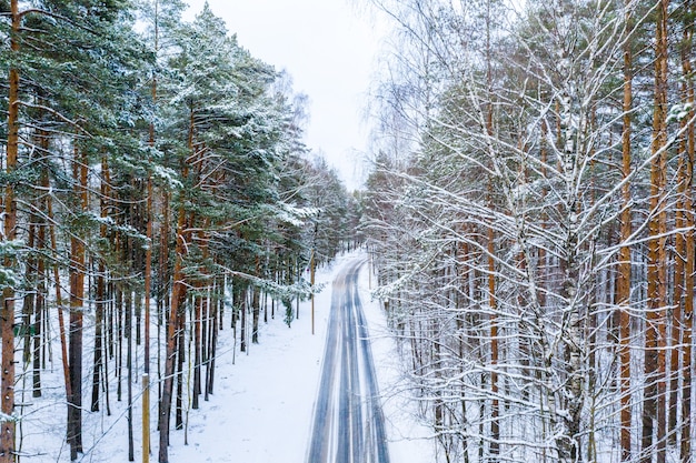 Lange Straße, umgeben von hohen schneebedeckten Bäumen im Winter