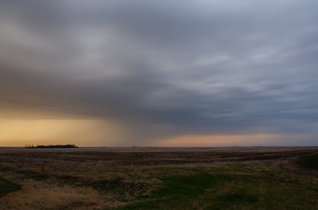 Langes Feld mit Grüntönen, das unter dem bewölkten und regnerischen Himmel glänzt