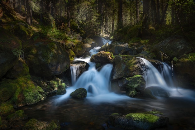 Langzeitbelichtung eines Wasserfalls im Wald, umgeben von Bäumen