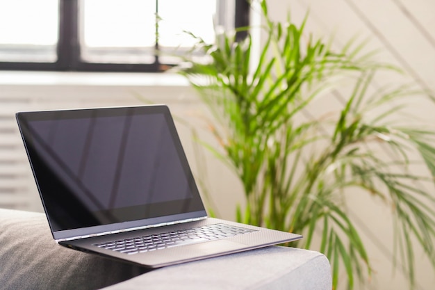 Laptop auf dem Sofa