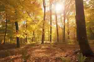 Kostenloses Foto laubbäume im wald mit goldener sonnenlichtatmosphäre und generativer ki