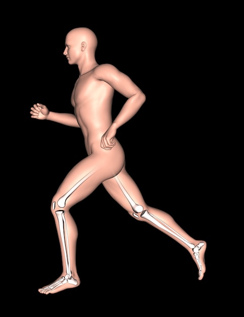 Kostenloses Foto laufender mann 3d mit den bein- und fußknochen hervorgehoben