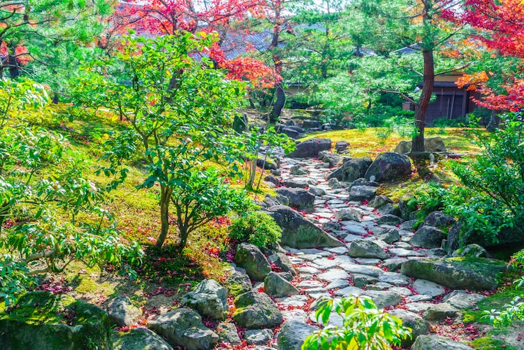 Kostenlose Foto lebendige waldlandschaft herbst schönheit
