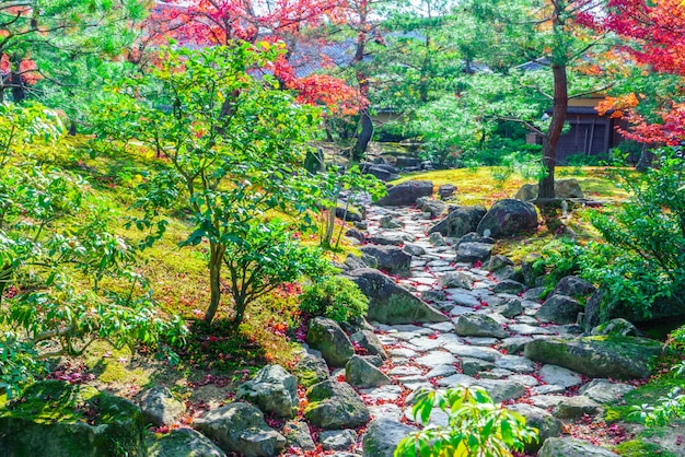 Lebendige Waldlandschaft Herbst Schönheit