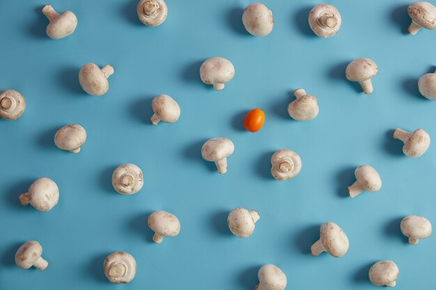 Lebensmittelkonzept. Essbare weiße Champignons und ein Zitrusorangencumquat auf blauem Hintergrund. Vielzahl von gesundem Gemüse für die Zubereitung von Salaten oder Suppen. Sammlung von Zutaten. Draufsicht, flach liegen