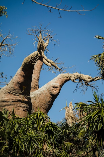 Kostenloses Foto lebensraum der tiere