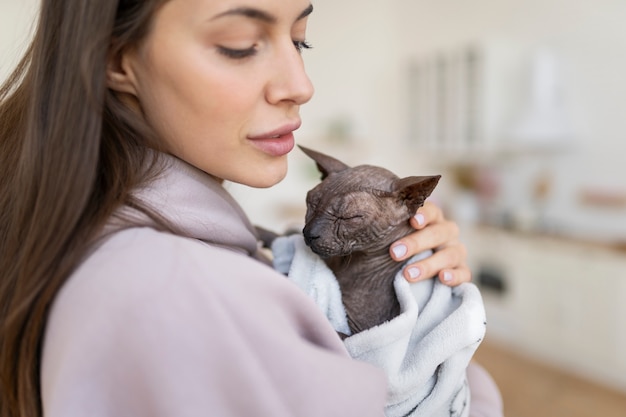 Lebensstil und Porträts von Haustierkatzen