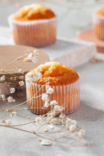 Leckere Cupcakes und Pflanzen mit hohem Winkel