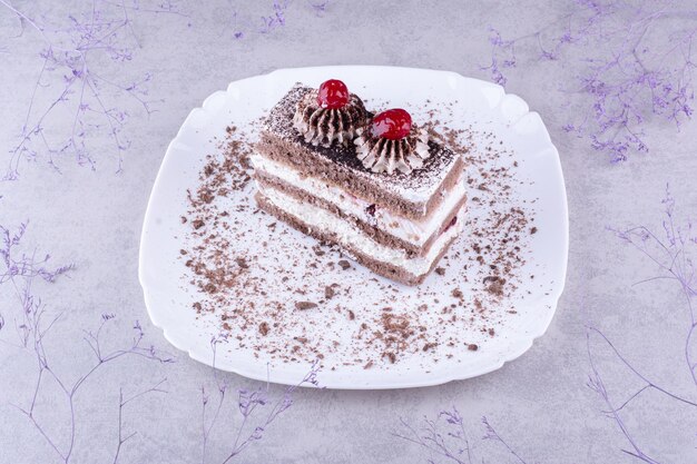 Leckerer Schokoladenkuchen auf weißem Teller. Foto in hoher Qualität