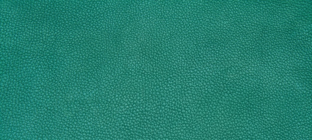 Leder grün textur