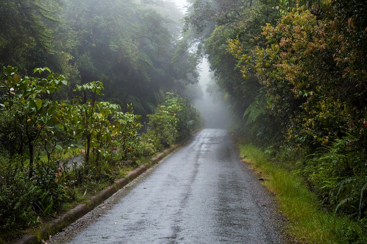 Kostenlose Foto leere straße zusammen mit regenwald bei costa rica