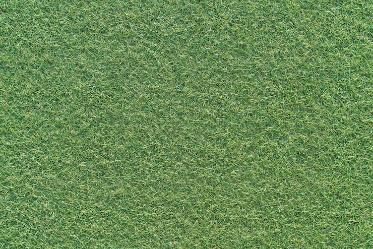 Kostenlose Foto leeren gras hintergrund